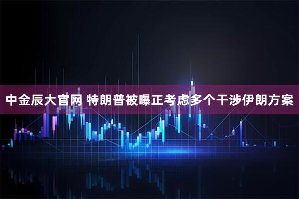 中金辰大官网 特朗普被曝正考虑多个干涉伊朗方案
