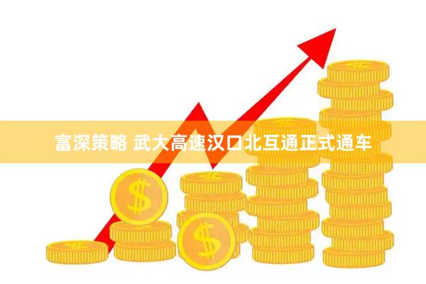 富深策略 武大高速汉口北互通正式通车